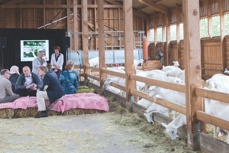 Tijdelijk oplossingen